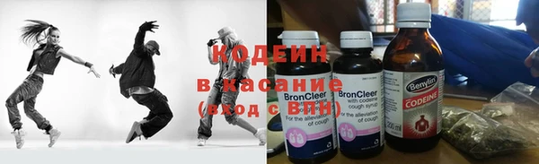 ECSTASY Богданович